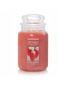 YANKEE CANDLE Large Jar White Strawberry Bell  623g