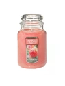 YANKEE CANDLE Large Jar Sun-Drenched Apricot Rose 623g