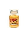 YANKEE Candle Large Jar Mango Peach Salsa 623g