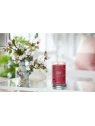 YANKEE CANDLE Signature tumbler z 2 knotami BLACK CHERRY 567g