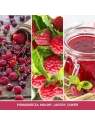 YANKEE CANDLE Elektryczny Odświeżacz uzupełniacz RED RASPBERRY 2x18,5ml
