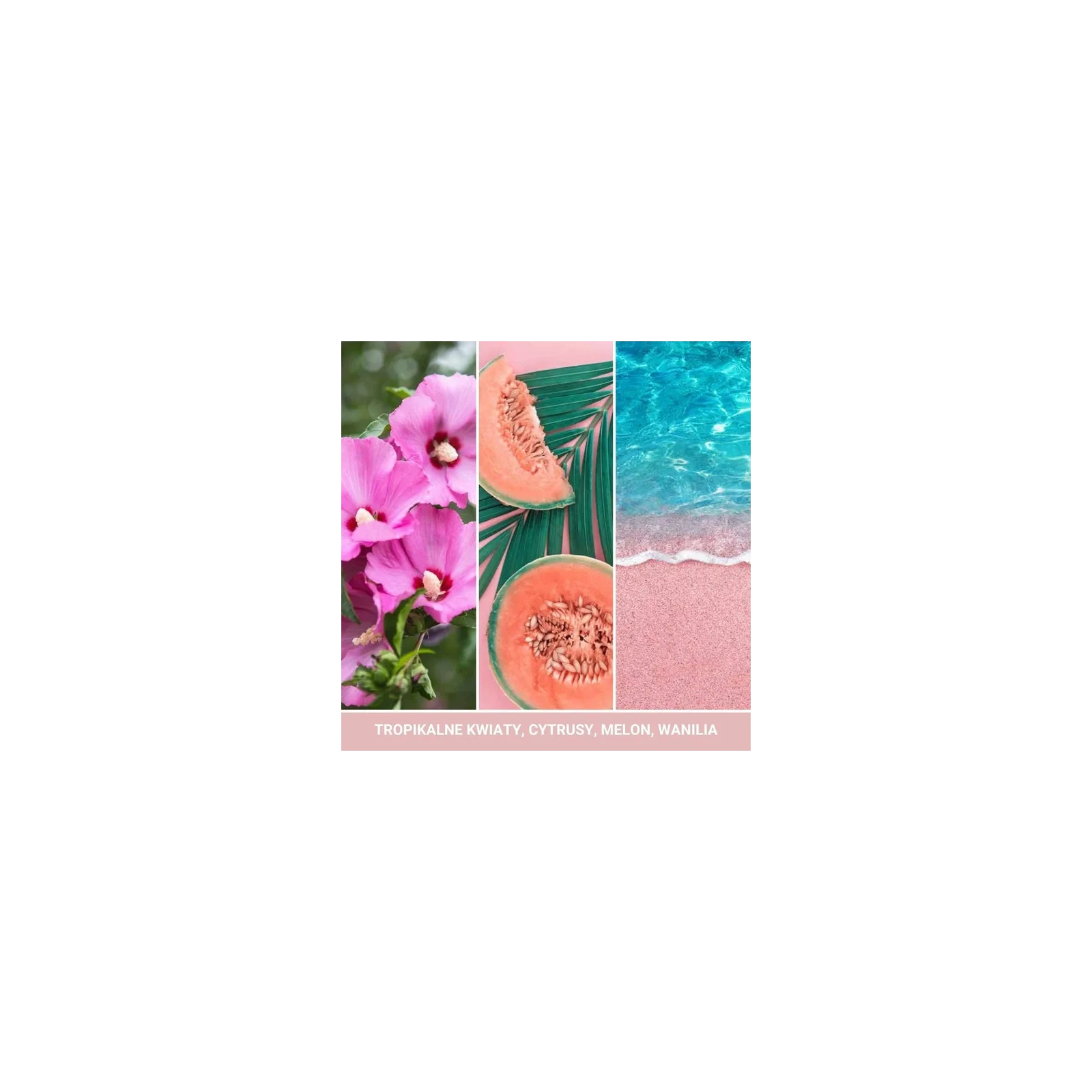 YANKEE CANDLE Reed Diffuser pałeczki zapachowe PINK SANDS 100ml