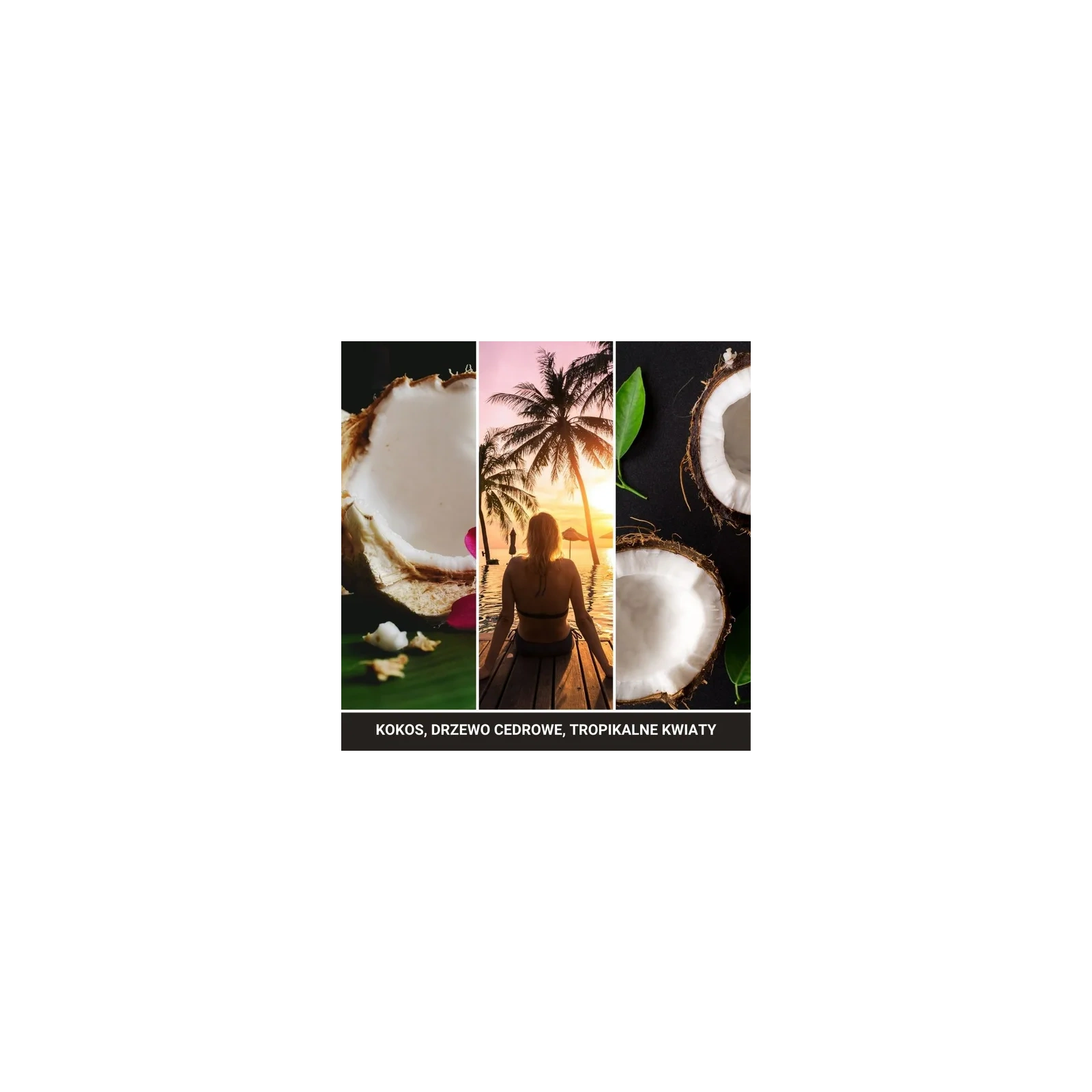 YANKEE CANDLE Car Jar Single zapach do auta BLACK COCONUT 15g