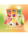 DAX Perfecta Planet Essence balsam do ciała Ashwagandha i Szafran 250g