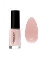 PIERRE RENE Nail Polish lakier do paznokci 376 Holiday Memories 11ml