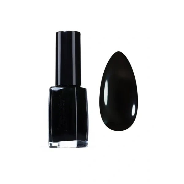 PIERRE RENE Nail Polish lakier do paznokci 302 Devil Black 11ml