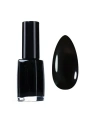 PIERRE RENE Nail Polish lakier do paznokci 302 Devil Black 11ml