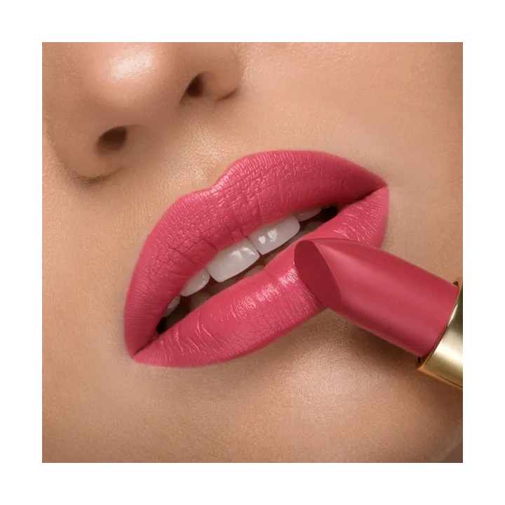 PIERRE RENE Royal Mat Lipstick szminka 05 Dusty Cedar 4,8g 