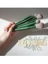 DONEGAL Blooming Bliss pędzel do blendowania i aplikacji cieni 2szt