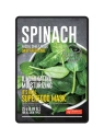 DERMAL Its Real Superfood Mask maska do twarzy Spinach 25g