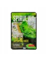 DERMAL Its Real Superfood Mask maska do twarzy Spirulina 25ml
