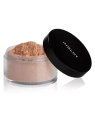 INGLOT Perfect Finish Loose Powder wielozadaniowy puder sypki 15 23g