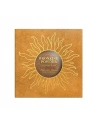 PIERRE RENE Bronzing Powder Shimmering puder brązująco rozświetlający 7,5g