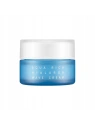 OTTIE Aqua Rich Hyaluron krem do twarzy intensywnie nawilżający 60ml 