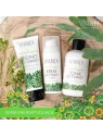 SYLVECO Vianek Normalizująca krem do twarzy na dzień 50ml