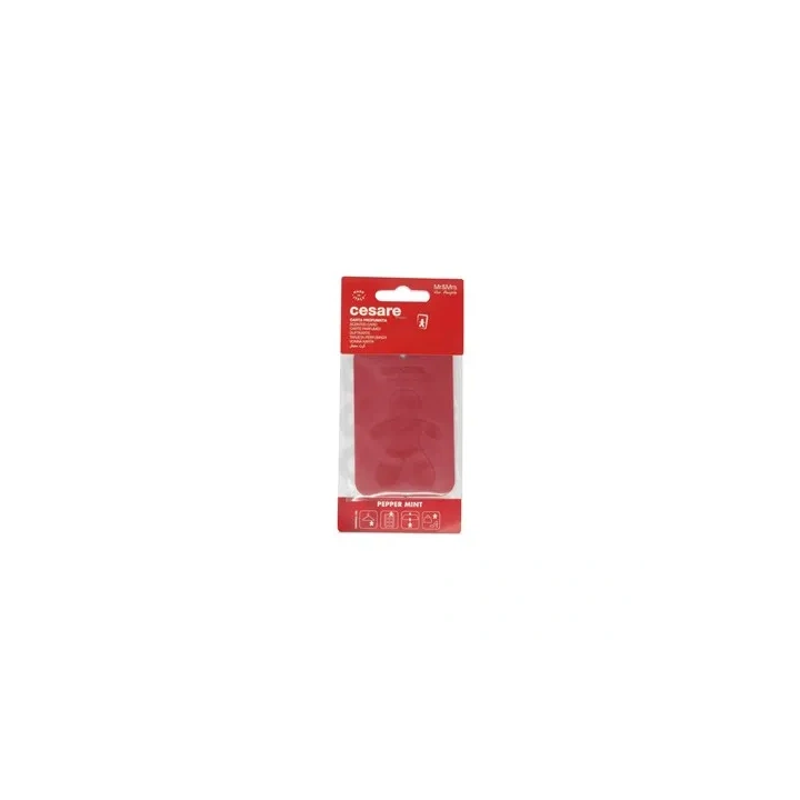 MR&MRS FRAGRANCE Cesare zawieszka zapachowa Czerwony PEPPERMINT 12g