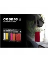MR&MRS FRAGRANCE Cesare zawieszka zapachowa Czerwony PEPPERMINT 12g