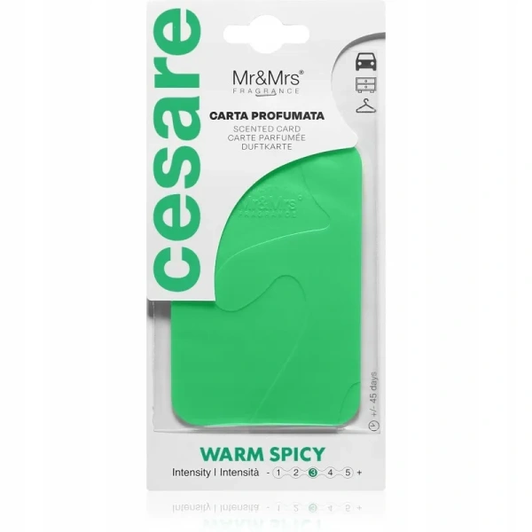 MR&MRS FRAGRANCE Cesare zawieszka zapachowa Zielony WARM SPICY 12g