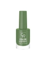 GOLDEN ROSE Color Expert lakier do paznokci 407 10,2ml
