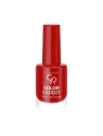 GOLDEN ROSE Color Expert lakier do paznokci 25 10,2ml
