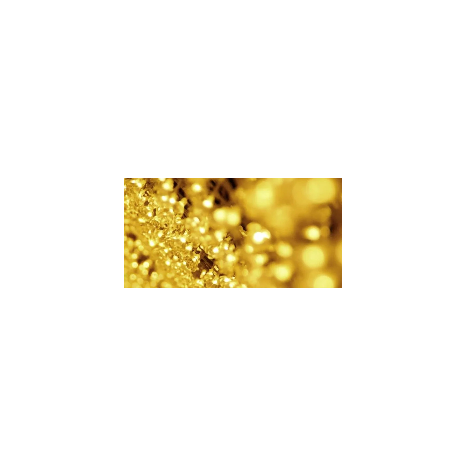J.FENZI Women Pure Gold woda perfumowana 100ml 