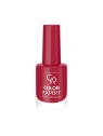 GOLDEN ROSE Color Expert lakier do paznokci 23 10,2ml