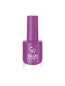 GOLDEN ROSE Color Expert lakier do paznokci 40 10,2ml