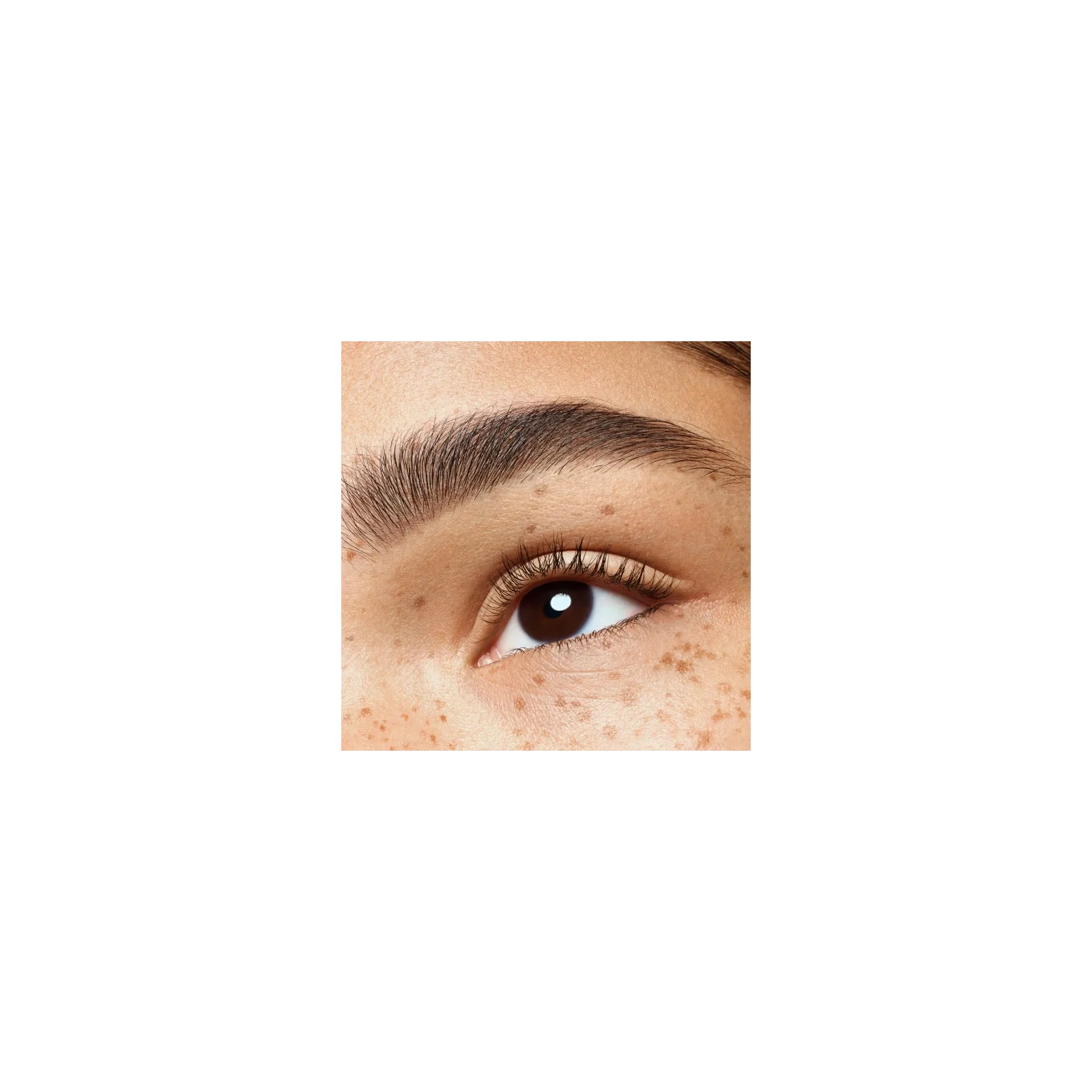 ESSENCE Brow Powder Duo Set pudrowy zestaw do brwi 02 Medium 1,8ml 