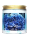 BINGOSPA sól do kąpieli Niebieskie Algi 900g