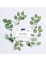 KORRES Philosia woda toaletowa 50ml