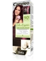 DELIA Cameleo Color Essence krem koloryzujący 6.2 Burgundy