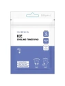PRESENT SKIN Pad Ice Colling Toner płatki do twarzy tonujące 12szt