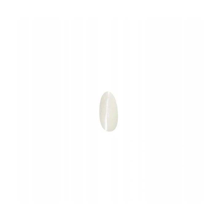 RONNEY Nail Art Powder Mermaid Effect pyłek do paznokci Efekt syrenki 