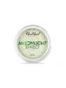 NEONAIL Moonlight Effect pyłek nr 02 2g