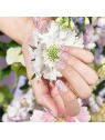 OHORA lakier hybrydowy w naklejce M Petal Rain ND-351 30szt 