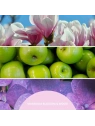 MILLEFIORI MILANO Diffuser uzupełniacz do pałeczek MAGNOLIA BLOSSOM & WOOD 250ml