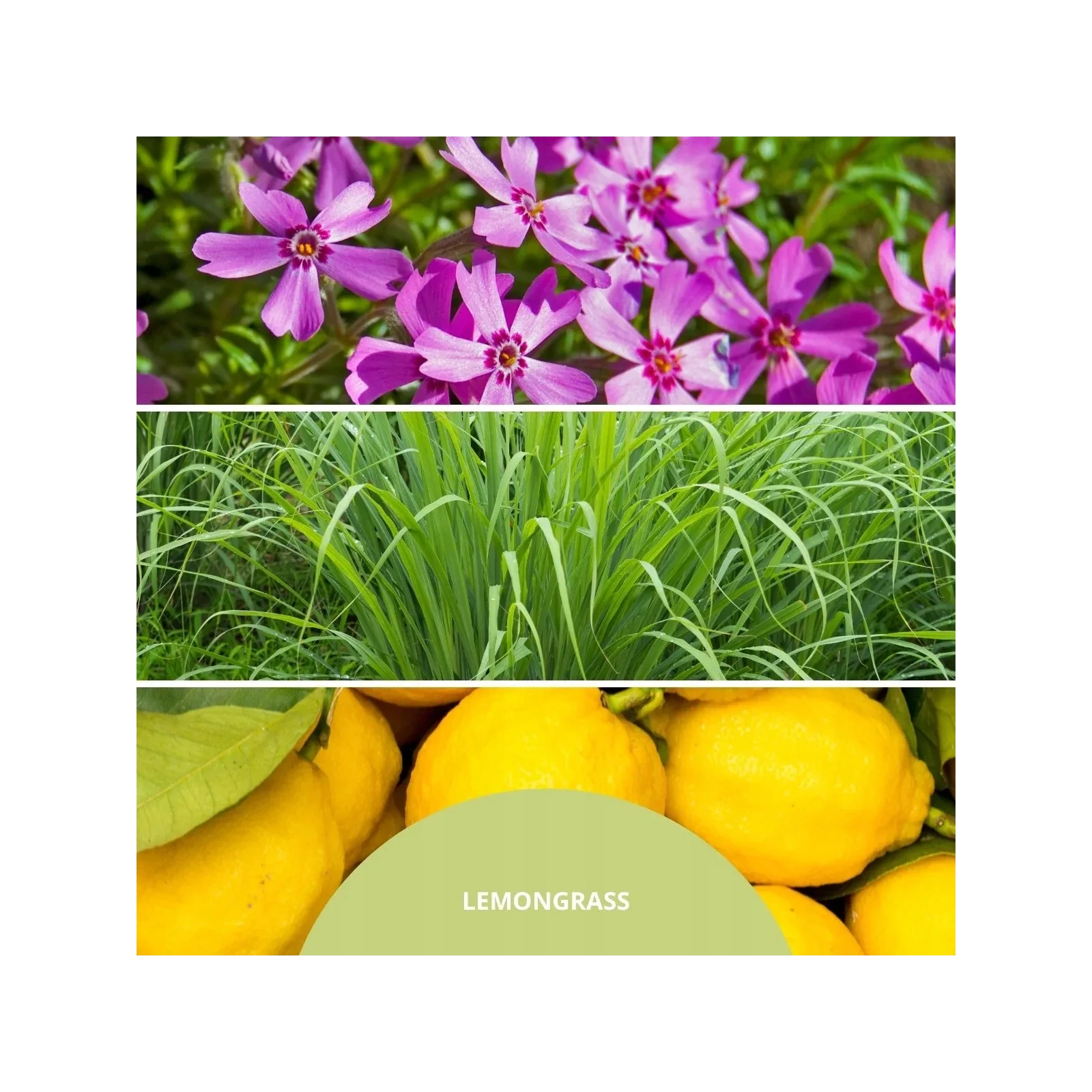 MILLEFIORI MILANO Diffuser uzupełniacz do pałeczek LEMON GRASS 250ml