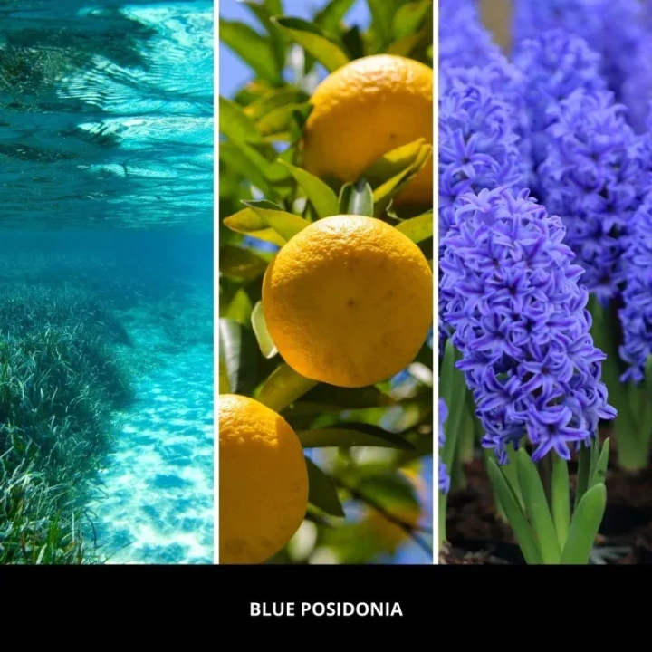 MILLEFIORI MILANO Diffuser uzupełniacz do pałeczek BLUE POSIDONIA 250ml