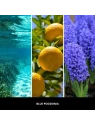 MILLEFIORI MILANO Diffuser uzupełniacz do pałeczek BLUE POSIDONIA 250ml
