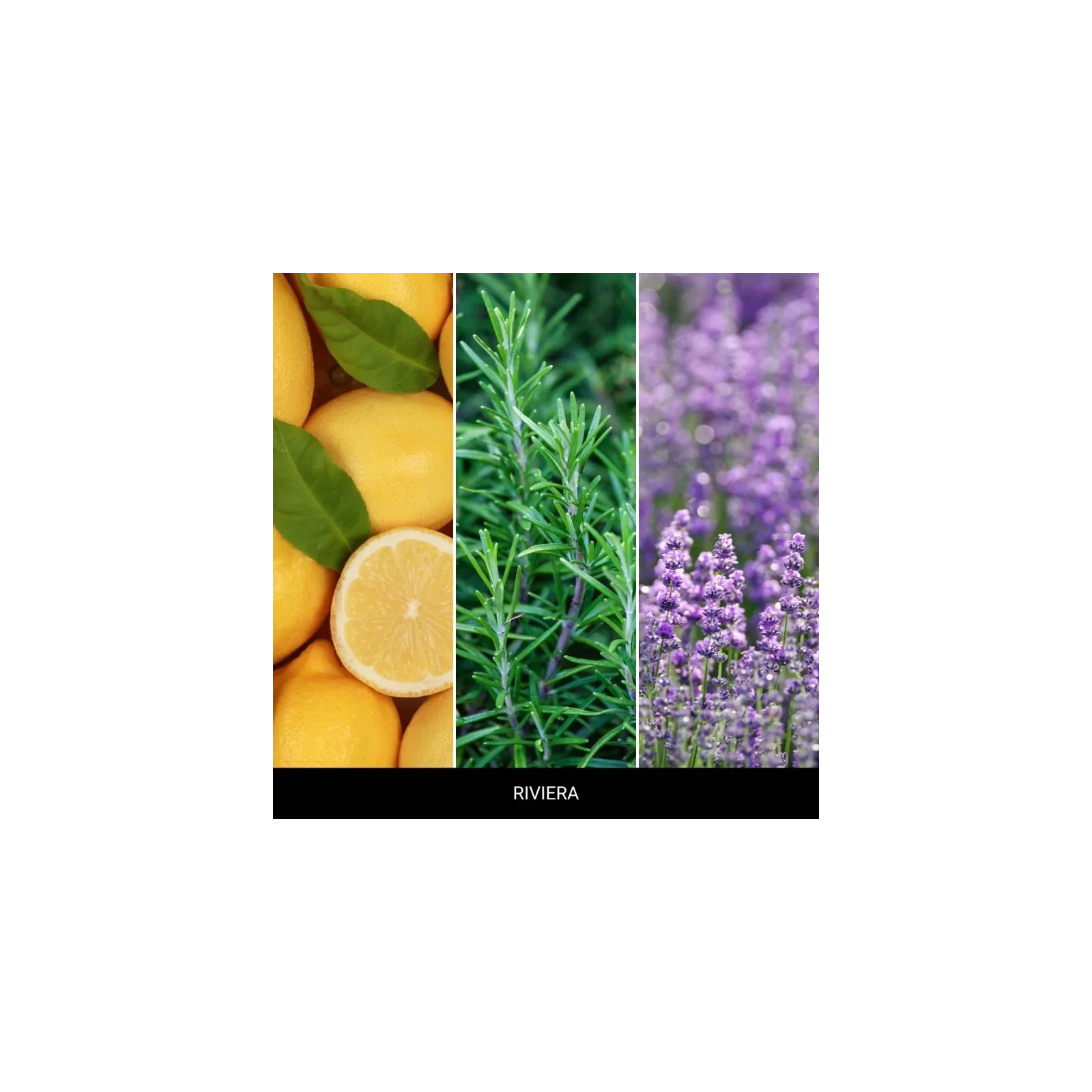 MILLEFIORI MILANO Diffuser uzupełniacz do pałeczek RIVIERA 250ml