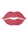ESSENCE Hydra Kiss Lip tint do ust 02 Vintage Rose 4ml