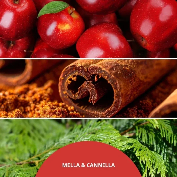 MILLEFIORI MILANO Diffuser pałeczki zapachowe MELA & CANNELLA 100ml