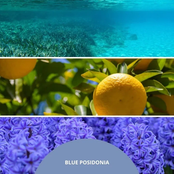MILLEFIORI MILANO Diffuser pałeczki zapachowe BLUE POSIDONIA 100ml