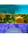 MILLEFIORI MILANO Diffuser pałeczki zapachowe BLUE POSIDONIA 100ml