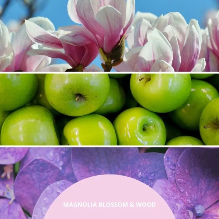 MILLEFIORI MILANO Diffuser pałeczki zapachowe MAGNOLIA BLOSSOM & WOOD 100ml