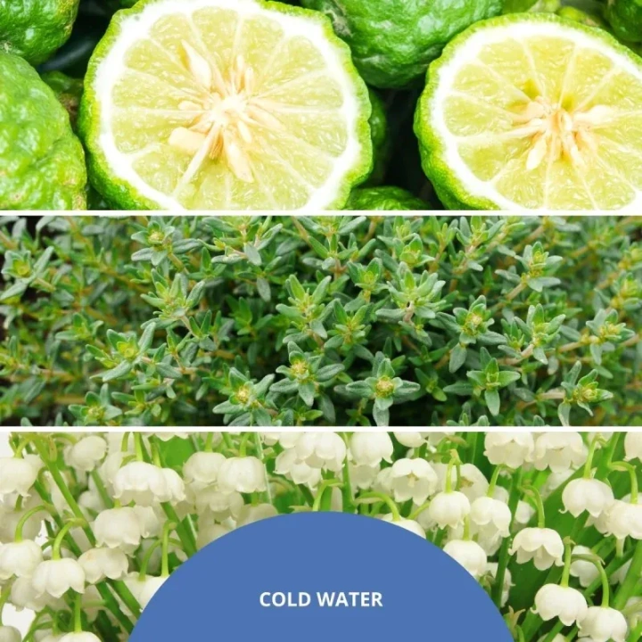 MILLEFIORI MILANO Ultrasonic olejek zapachowy COLD WATER 15ml