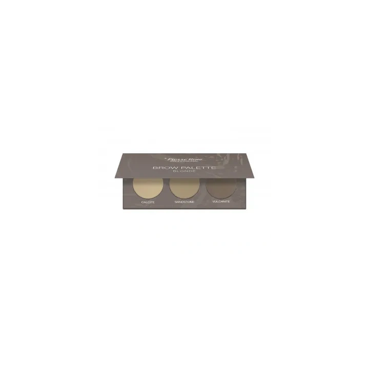 PIERRE RENE Brow Palette cienie do stylizacji brwi 01 Blonde 3,9g