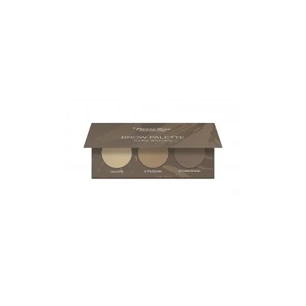 PIERRE RENE Brow Palette cienie do stylizacji brwi 02 Dark Brown 3,9g