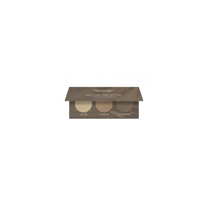 PIERRE RENE Brow Palette cienie do stylizacji brwi 02 Dark Brown 3,9g
