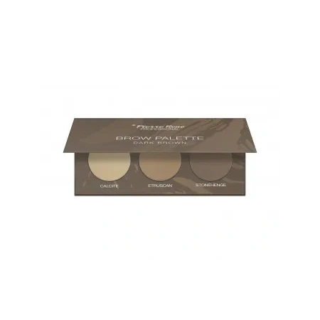 PIERRE RENE Brow Palette cienie do stylizacji brwi 02 Dark Brown 3,9g